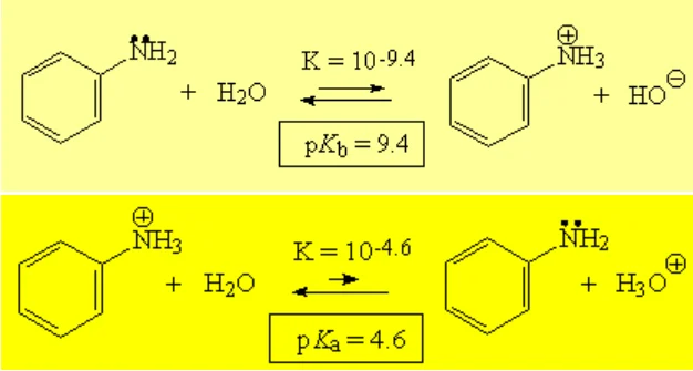Diferencia entre anilina y bencilamina
