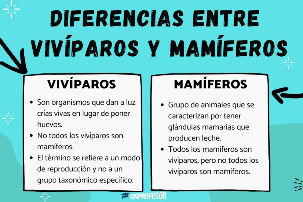 Diferencia entre animal y mamífero