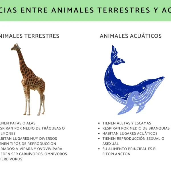 Diferencia entre animales acuáticos y terrestres