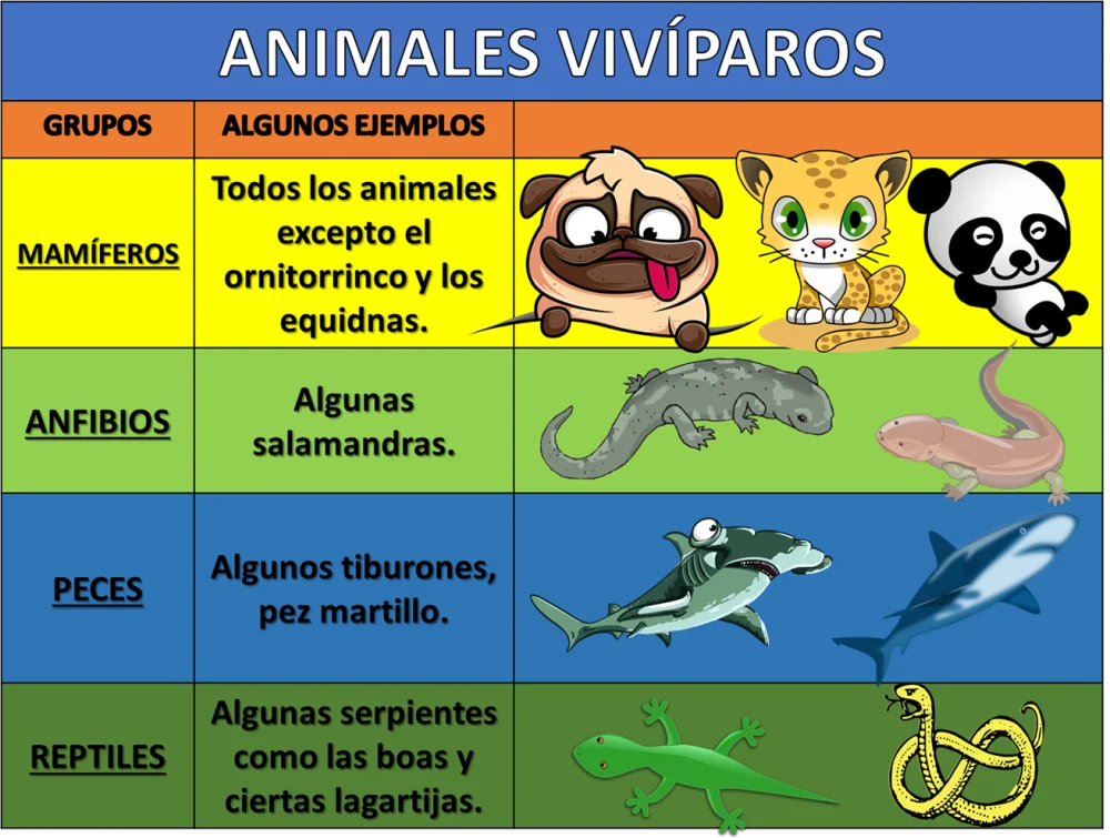 Diferencia entre animales ovíparos y vivíparos