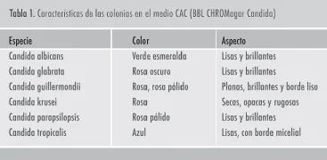 Diferencia entre Candida albicans y Candida glabrata