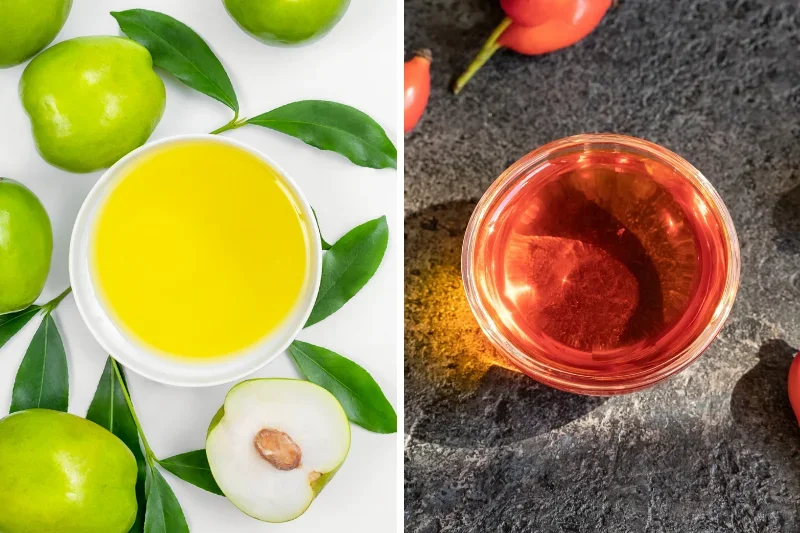Diferencia entre el aceite de jojoba y el aceite de rosa mosqueta