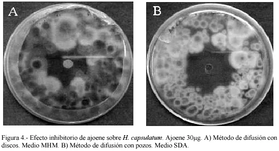 Diferencia entre el método de difusión en agar y el método de difusión en disco