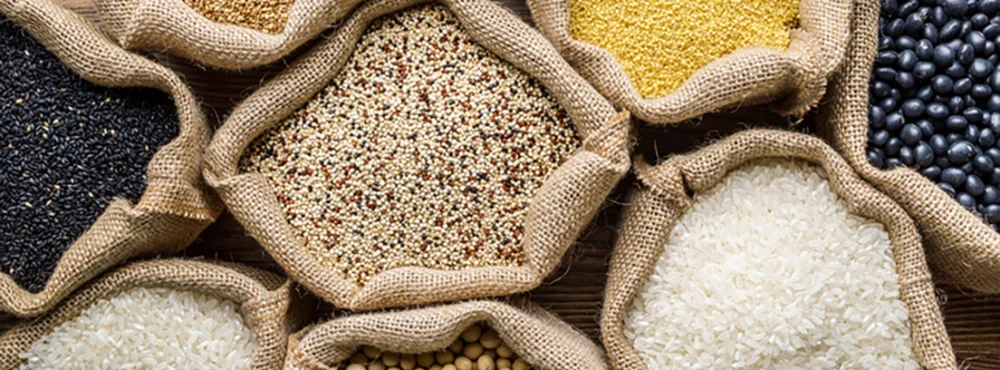 Diferencia entre el mijo y el sorgo