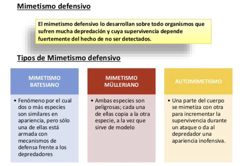 Diferencia entre el mimetismo batesiano y mülleriano