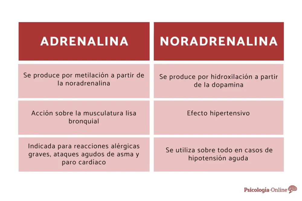 Diferencia entre epinefrina y adrenalina