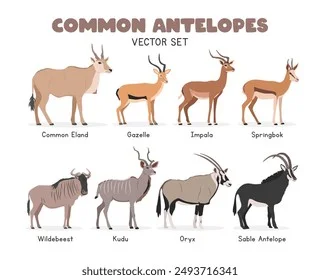 Diferencia entre Gazelle e Impala