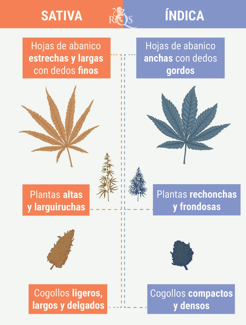 Diferencia entre Indica y Sativa
