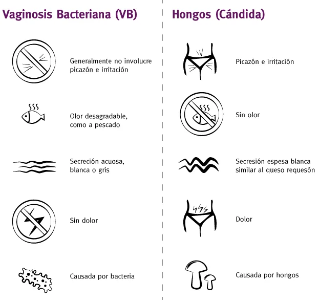 Diferencia entre infección fúngica y bacteriana