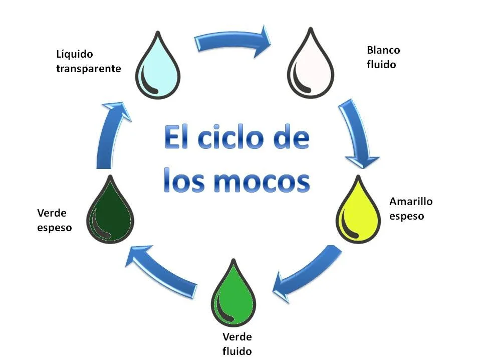 Diferencia entre moco y flema