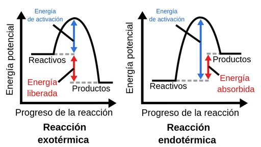 Diferencia entre reacciones endotérmicas y exotérmicas