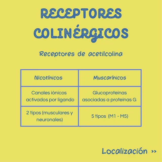 Diferencia entre receptores nicotínicos y muscarínicos