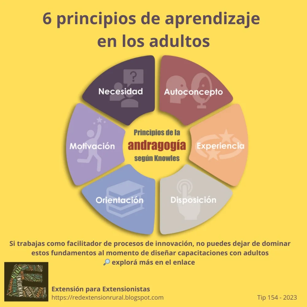 ¿Cuáles son los principios del aprendizaje de adultos?