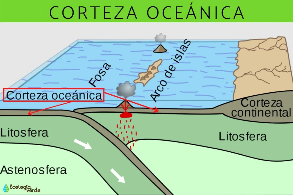 ¿De qué está hecha la corteza oceánica?