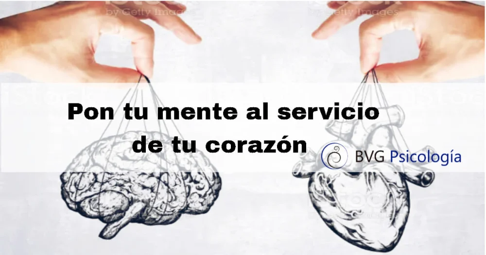 Diferencia entre corazón y mente