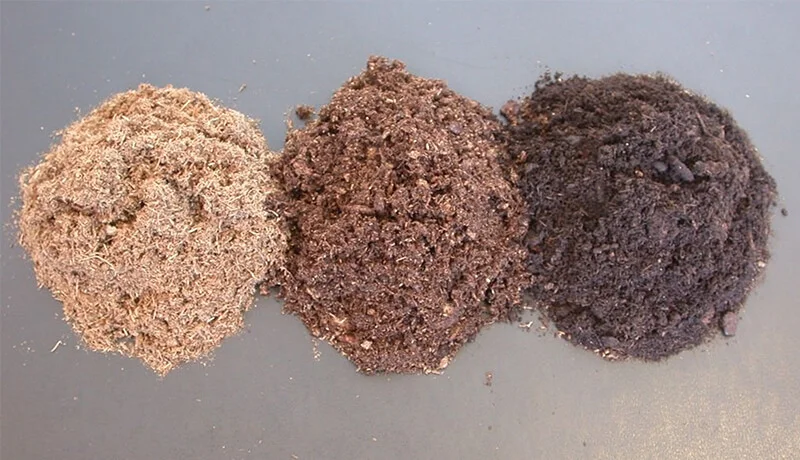 Diferencia entre el musgo de turba y el musgo sphagnum