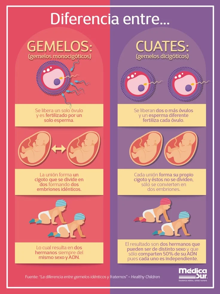 Diferencia entre gemelos idénticos y fraternos