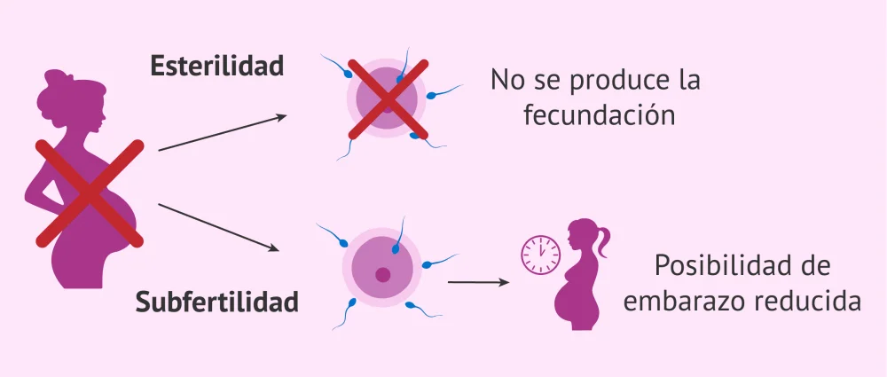Diferencia entre infertilidad y subfertilidad