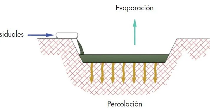 Diferencia entre infiltración y percolación