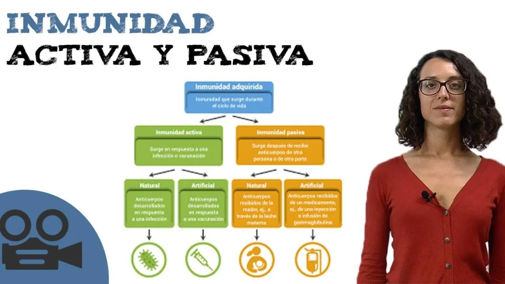 Diferencia entre inmunidad activa y pasiva