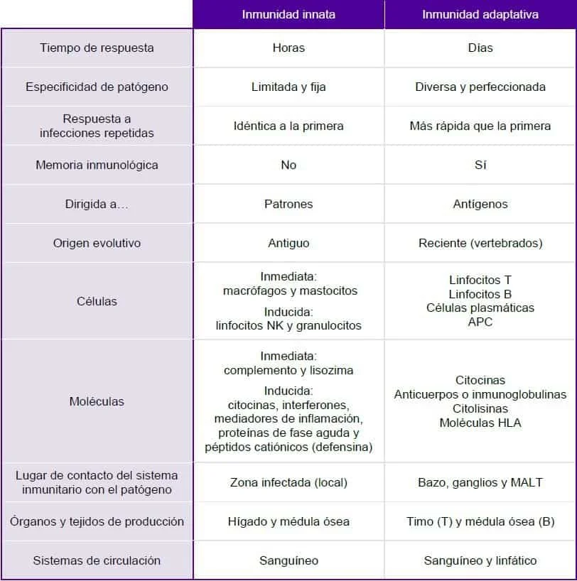 Diferencia entre inmunidad innata y adaptativa