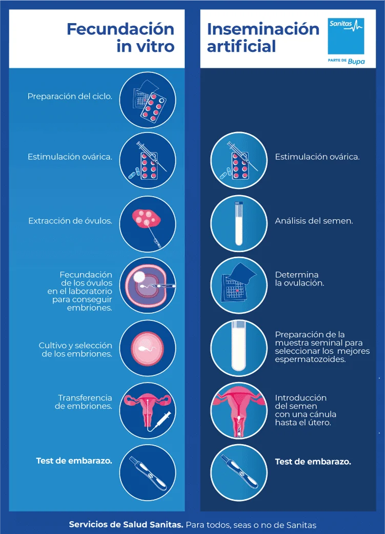 Diferencia entre la inseminación artificial y la fecundación in vitro