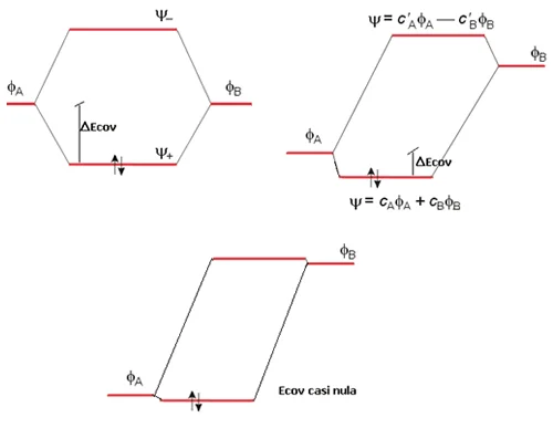 Diferencia entre moléculas diatómicas homonucleares y heteronucleares