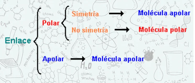 Diferencia entre moléculas polares y no polares