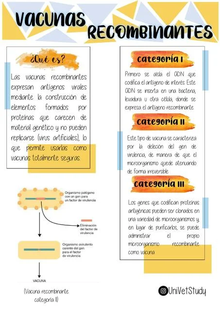 Diferencia entre recombinante y no recombinante