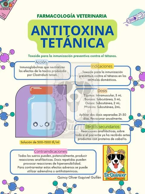 Diferencia entre antitoxina y toxoide