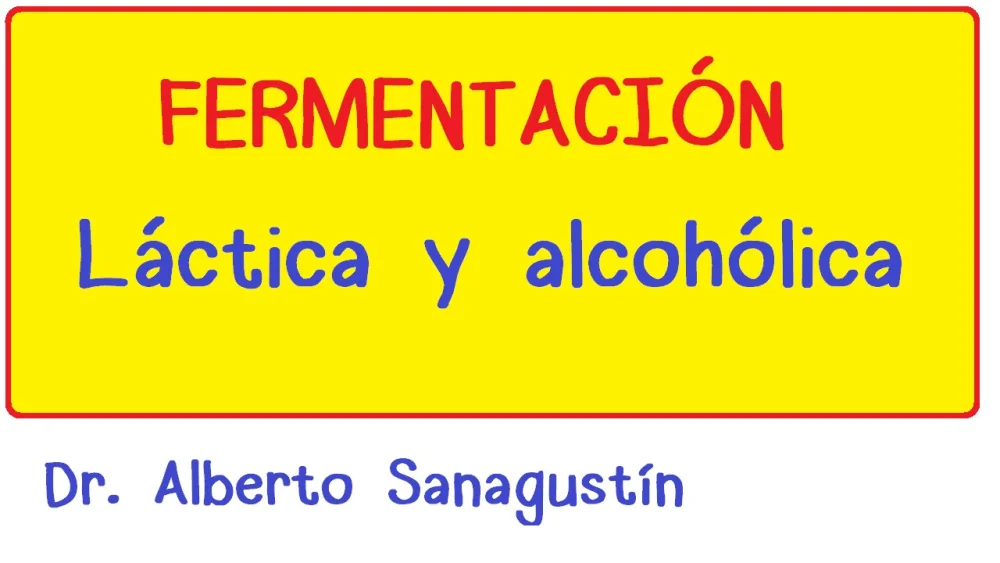 Diferencia entre el ácido láctico y la fermentación alcohólica