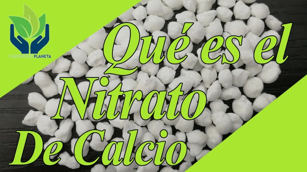 Diferencia entre el nitrato de calcio y el nitrato de amonio y calcio
