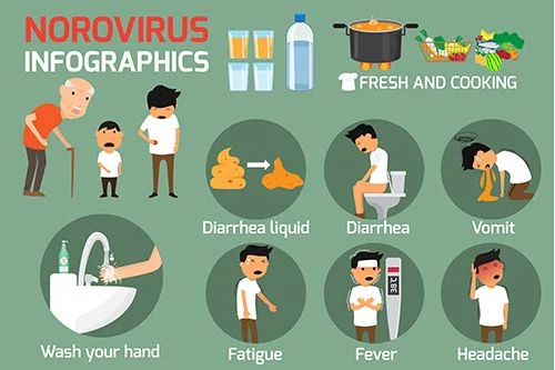 Diferencia entre el norovirus y el virus Norwalk