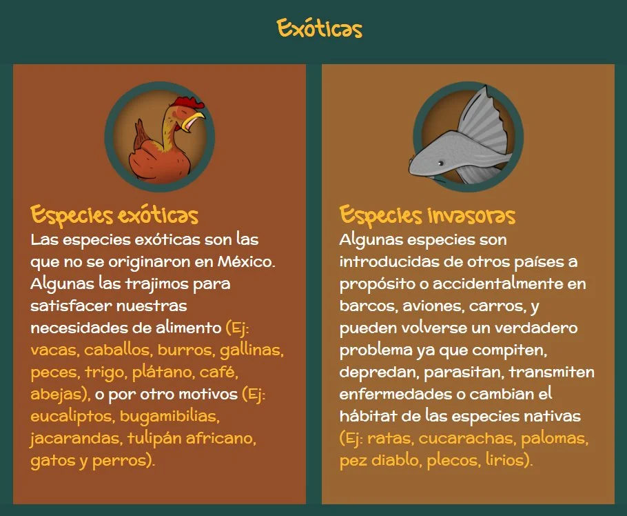 Diferencia entre especies exóticas e invasoras