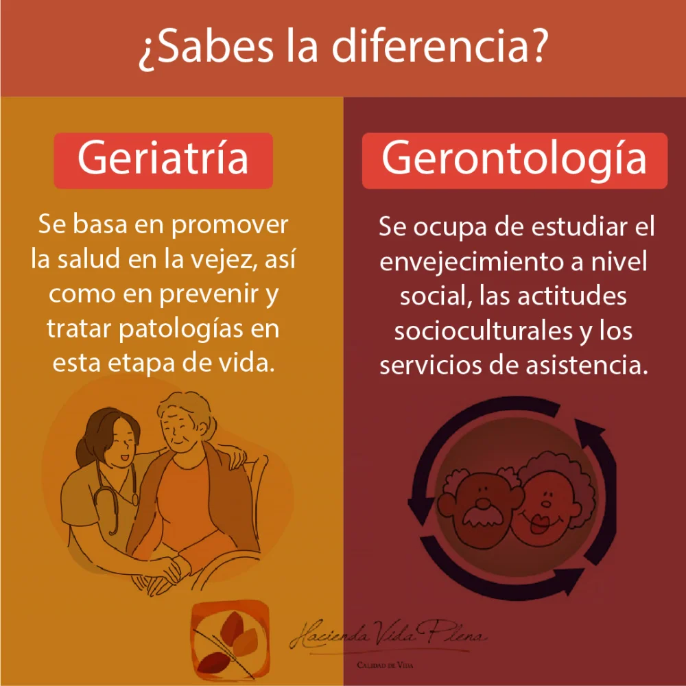 Diferencia entre geriatría y gerontología