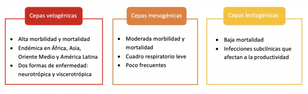 Diferencia entre inmunosupresión e inmunodeficiencia