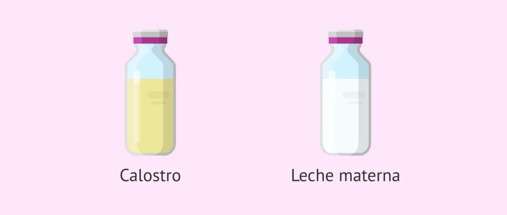 Diferencia entre la lactoferrina y el calostro