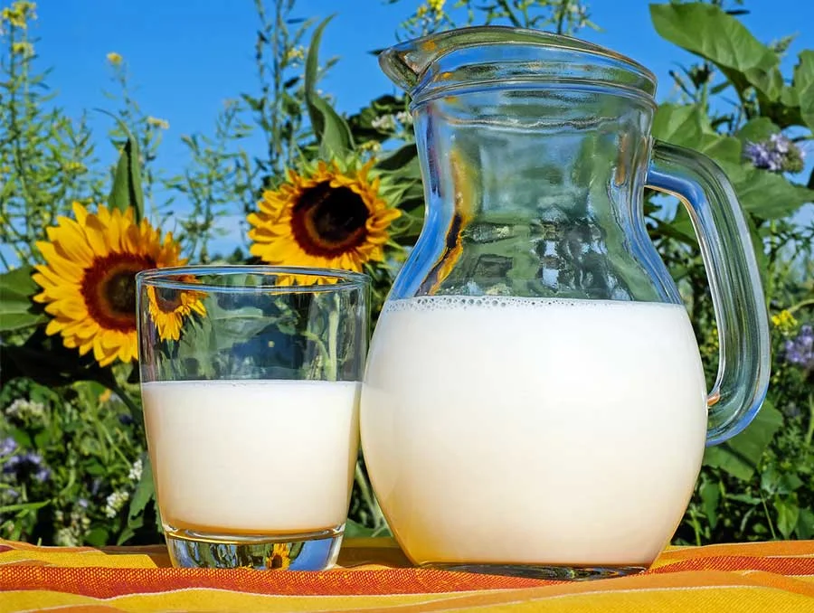 Diferencia entre la leche orgánica y la leche normal