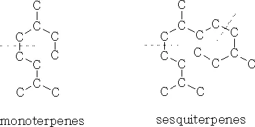 Diferencia entre monoterpenos y sesquiterpenos