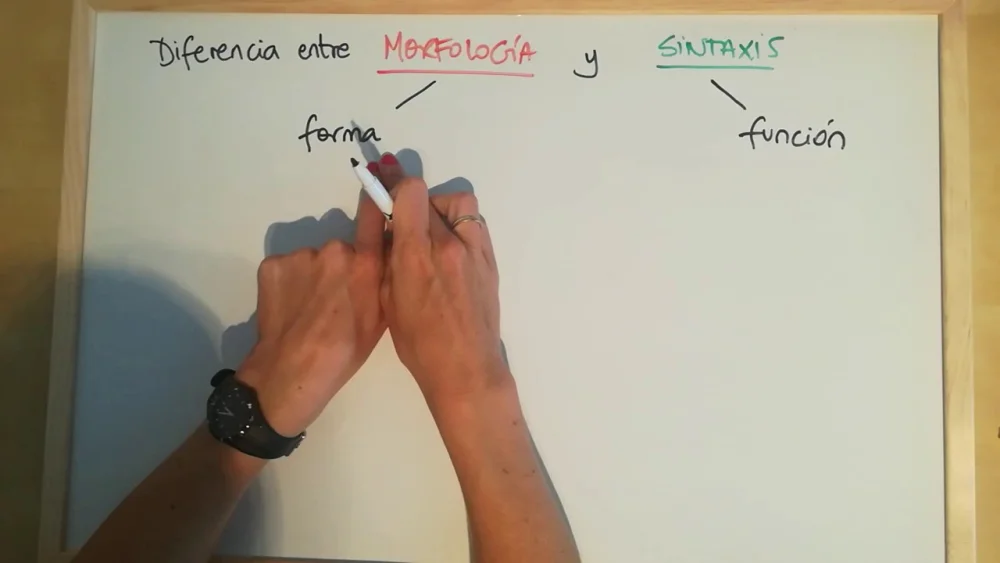 Diferencia entre morfología y sintaxis