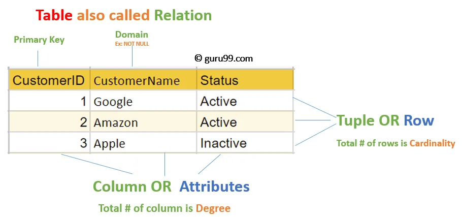 Diferencia entre relación y parentesco en un DBMS