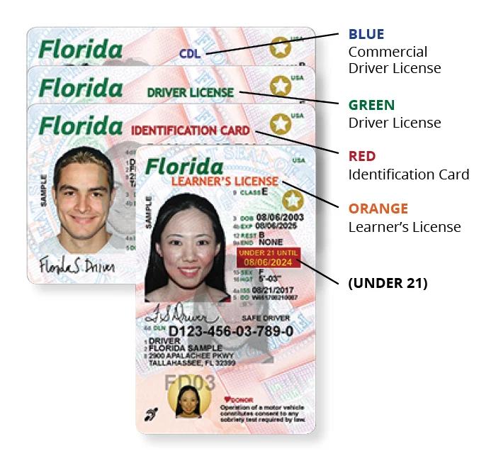 Diferencia entre una licencia de aprendizaje y una licencia de conducir