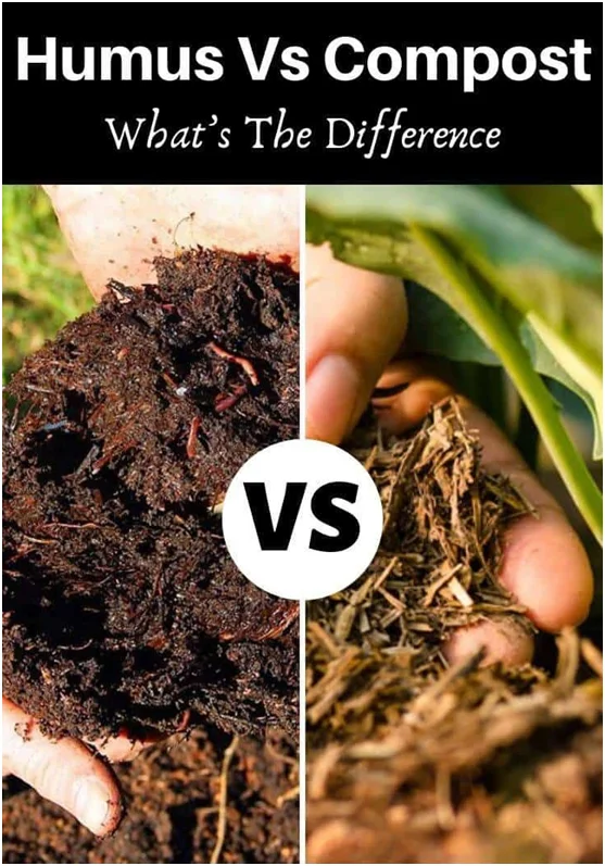 Diferencia entre una lombricultura y un compost