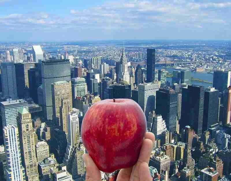 ¿Por qué a Nueva York se le llama Gran Manzana?