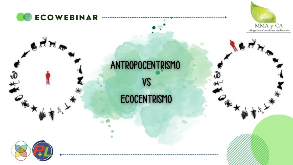 Diferencia entre antropocentrismo biocentrismo y ecocentrismo