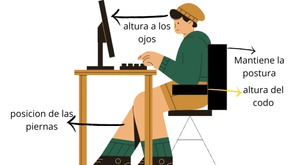 Diferencia entre antropometría y ergonomía