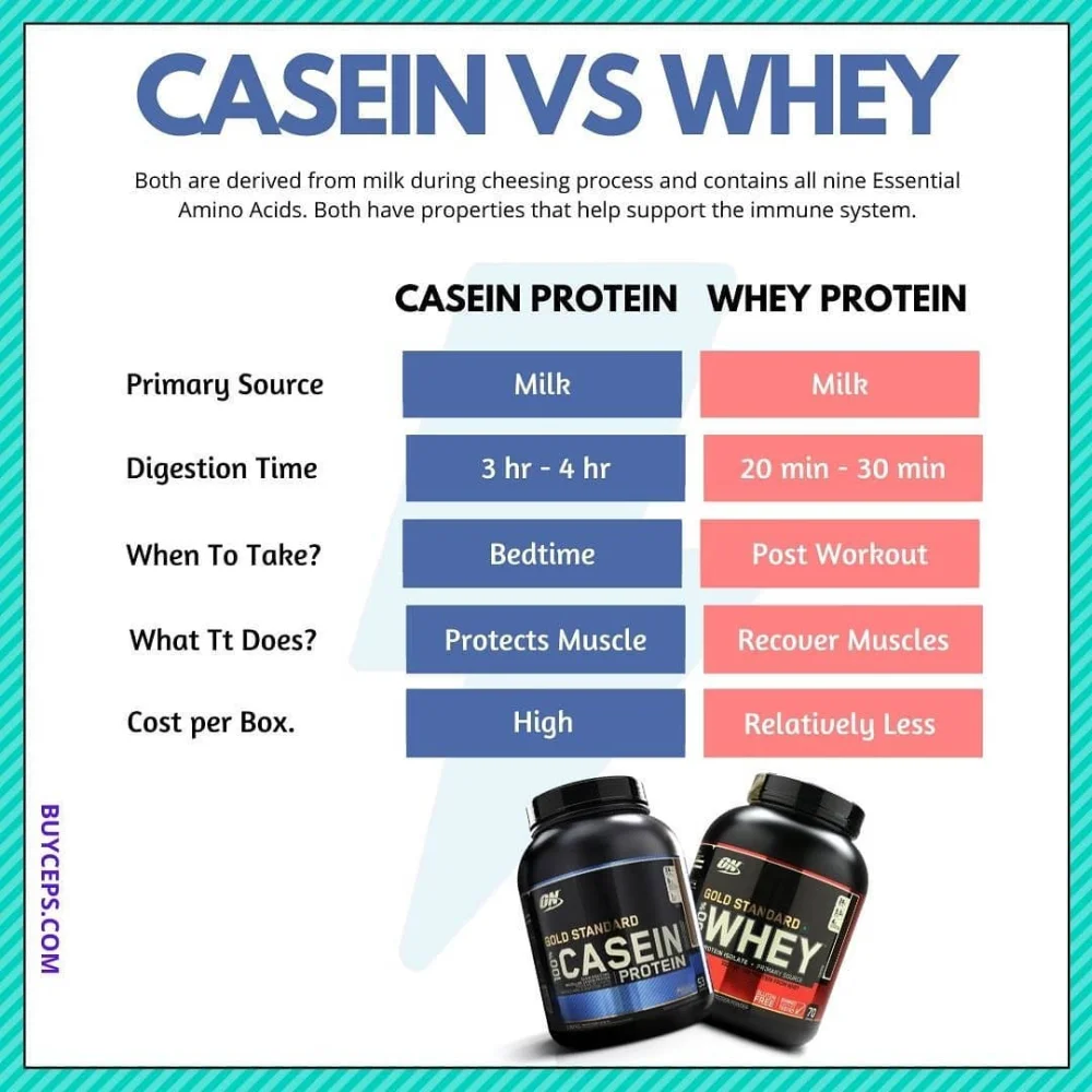 Diferencia entre caseína y proteína de suero