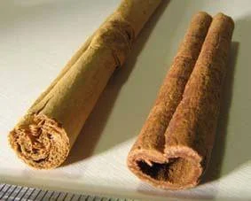 Diferencia entre casia y canela
