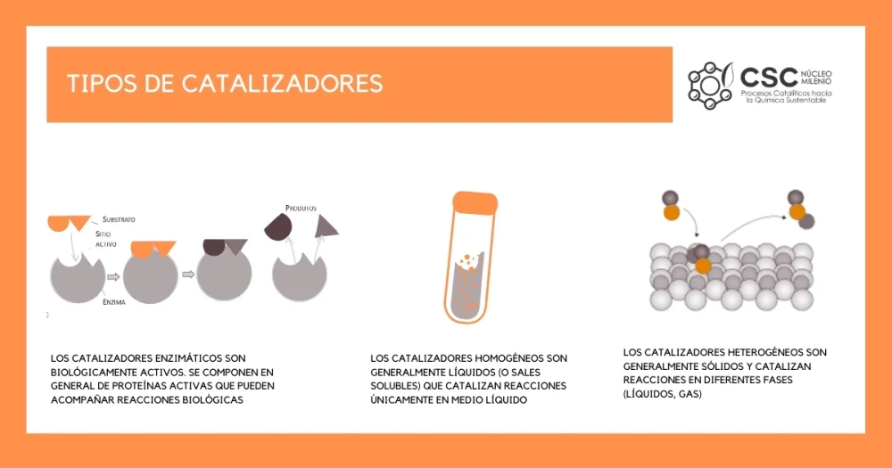 Diferencia entre catalizador heterogéneo y homogéneo