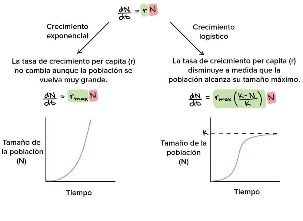 Diferencia entre crecimiento poblacional y cambio poblacional